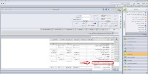 گزارش تراز آزمایشی در نرم افزار سپیدار5